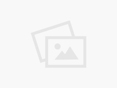 Tesla vs. Lexus: The New RZ Challenges the Model Y in This Specs Comparo